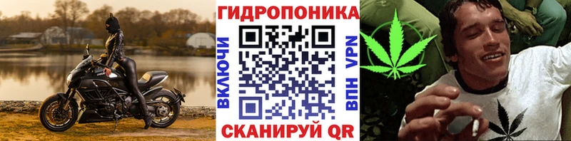 Купить где  Нестеров  МАРИХУАНА AK-47 